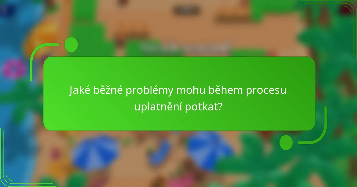 Jaké běžné problémy mohu během procesu uplatnění potkat?